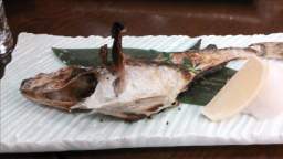 2014-12-05 20.30.13.JPG